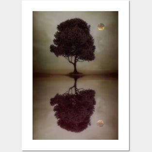 Lone Tree Reflecting Off The Water Posters and Art